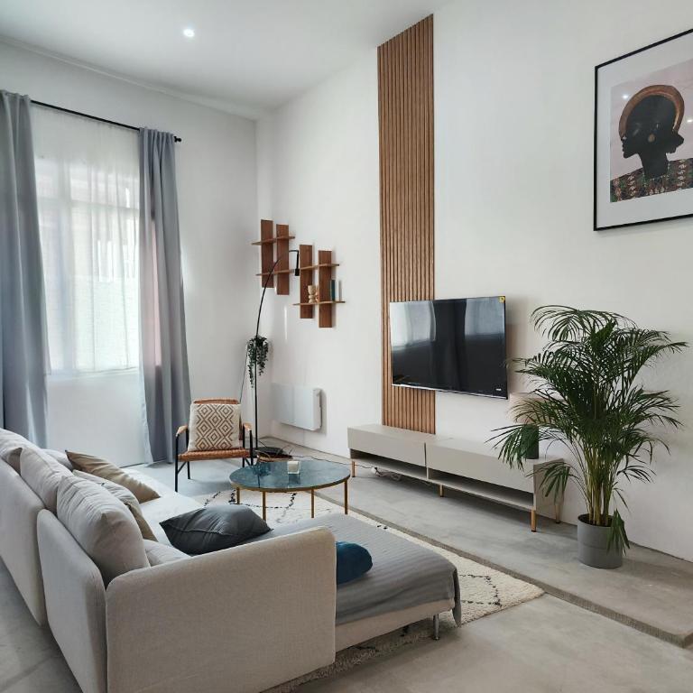 Beautiful apartments & Loft in Beziers center - Loft - 38