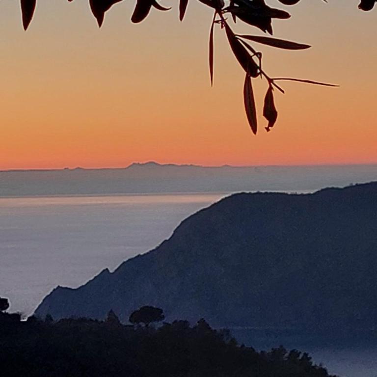 Incanto-Romantic Sea-View Hideaway With-Private Parking&300mq Garden - One-Bedroom Apartment - 11