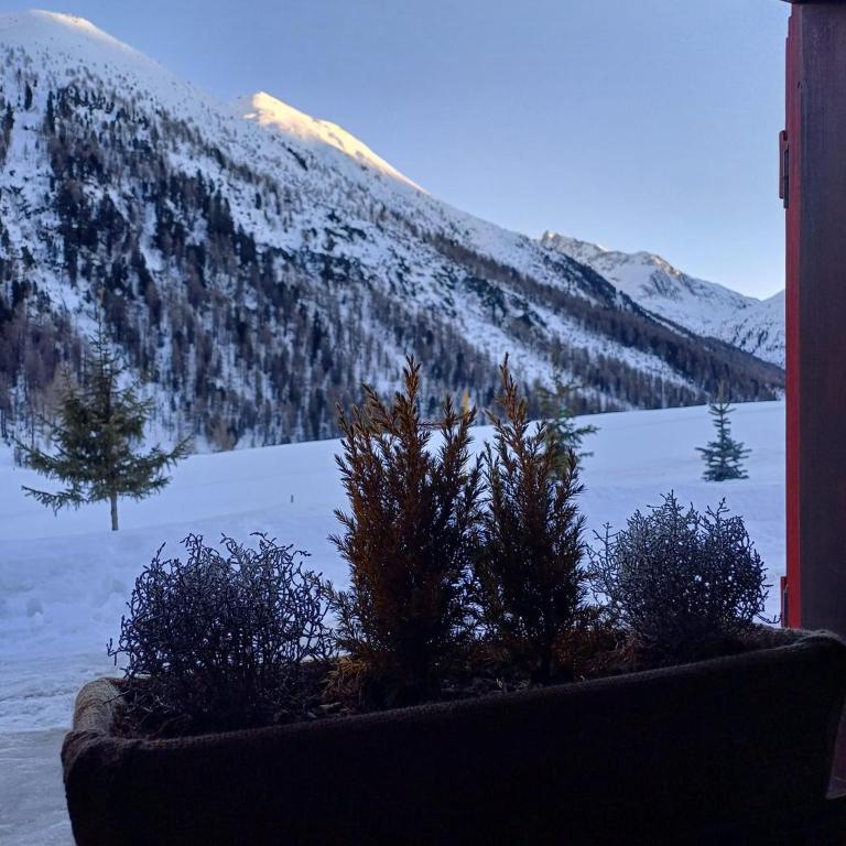 Chalet Renzo Livigno Il lusso del silenzio - Chalet con 2 Camere da Letto - su 2 Livelli - 26