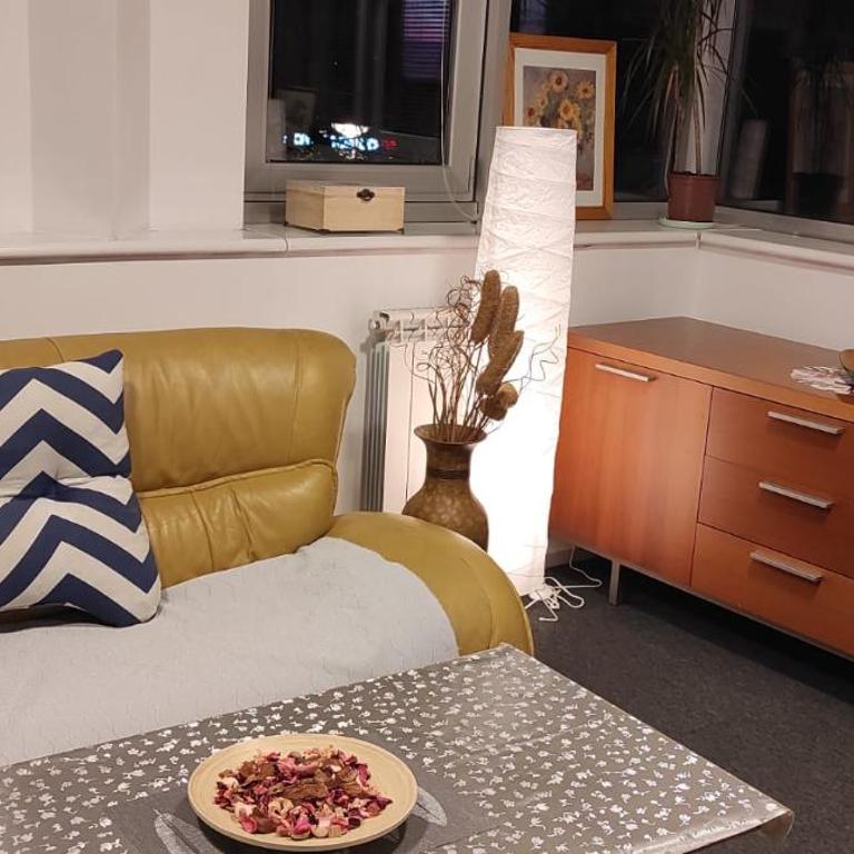 Arena Belgrade - Apartman sa 3 Spavaće Sobe - 4