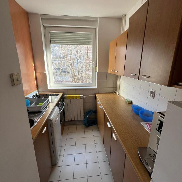 Arena Belgrade - Apartman sa 3 Spavaće Sobe - 37