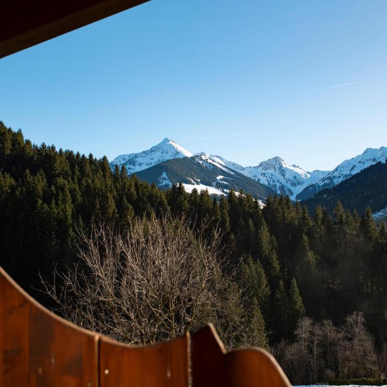 Naturapartments Alpbach - Alpin Bio Deluxe - Apartment mit Bad - 25