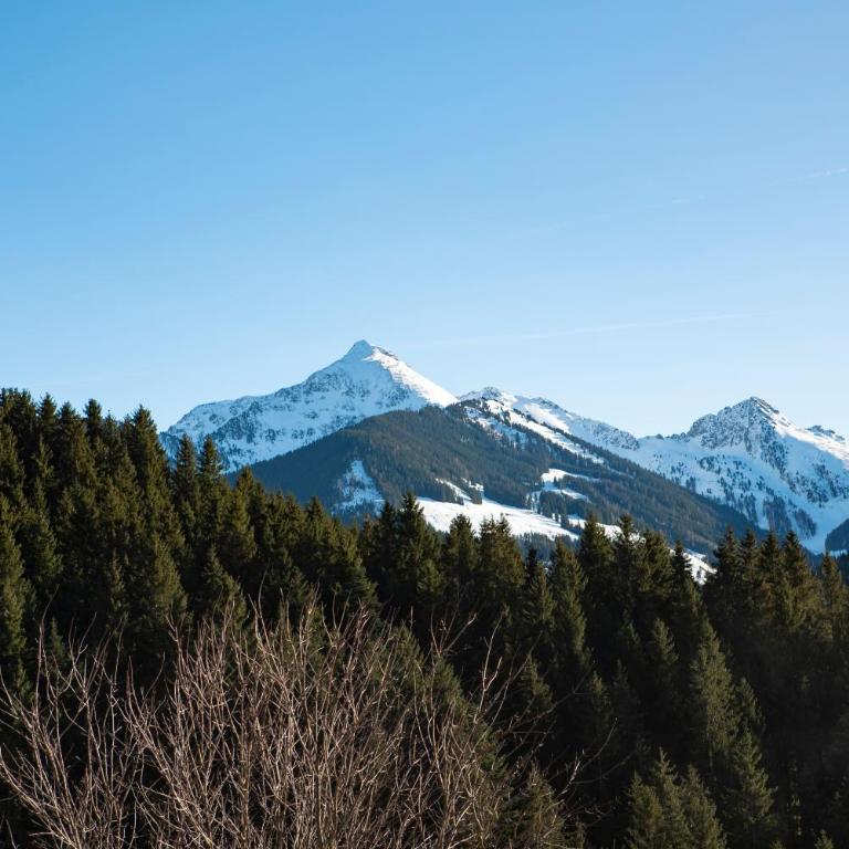 Naturapartments Alpbach - Alpin Bio Deluxe - Apartment mit Bad - 5