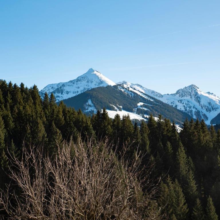 Naturapartments Alpbach - Alpin Bio Deluxe - Apartment mit Bad - 58