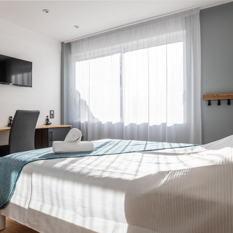 Bright 2bedroom apartment 15min walk to the Palais - Appartement - 5