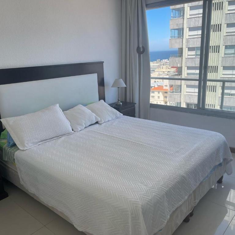 Apartamento en Santos Dumont - Apartamento de 1 dormitorio - 9