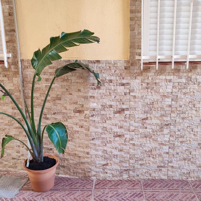 El Faro - Beach - Deluxe Apartment - 29