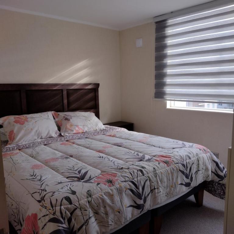 Departamento Villarrica - Two-Bedroom Apartment - 10