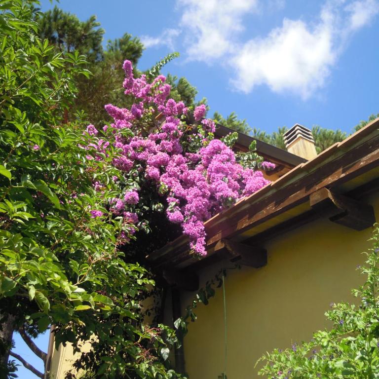 Casa Vacanze Vigna di Valle - Camera Matrimoniale con Vista Parco - 8
