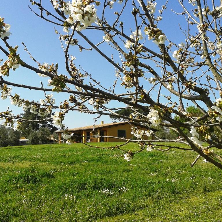 Casa Vacanze Vigna di Valle - Chalet con 2 Camere da Letto - 6