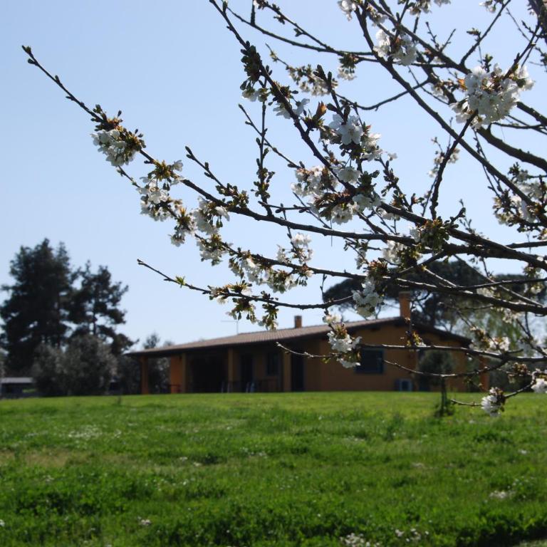 Casa Vacanze Vigna di Valle - Chalet con 1 Camera da Letto - 9