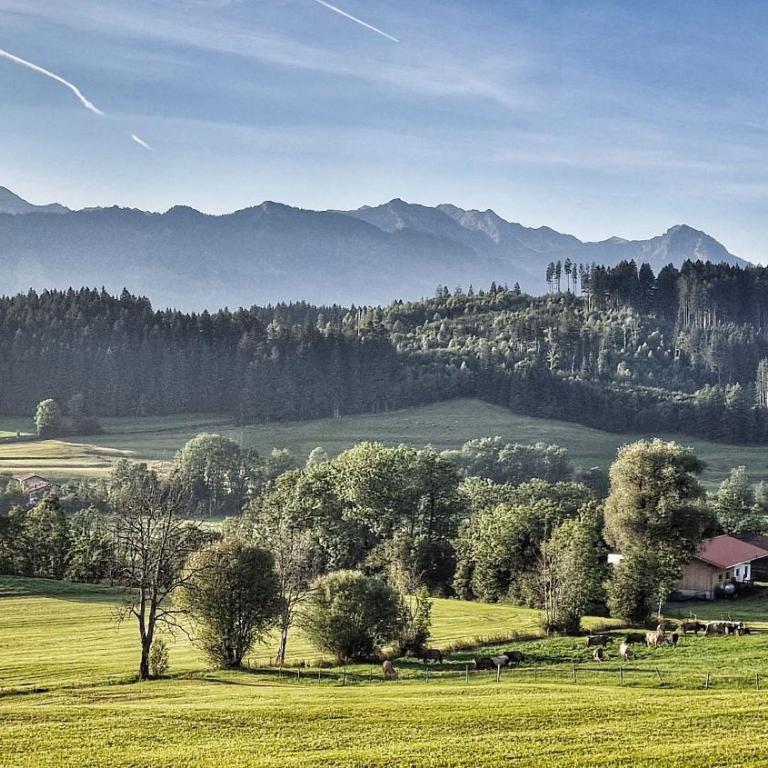 Alpe 44 - Ferienhaus - 2