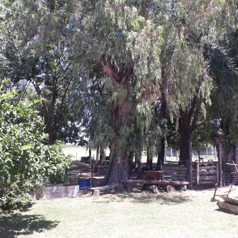 Cabaña casa grande - Casa de 3 dormitorios - 19