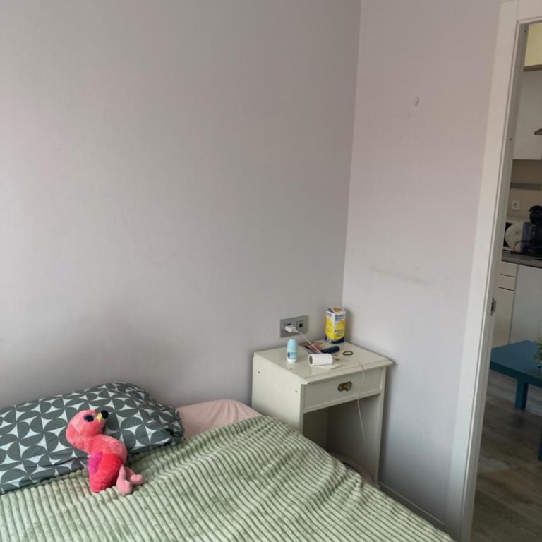 APT. DOWN TOWN(ANTON MARTIN) - Apartamento de 1 dormitorio - 32