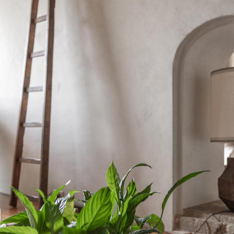 Old Bridge large and unique artful apartment with elevator - Appartamento con 3 Camere da Letto - 23