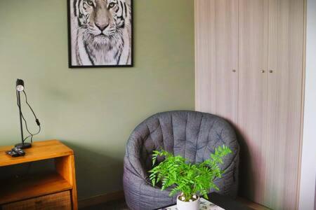 HOM I Depto 1606 X - Apartment - 6