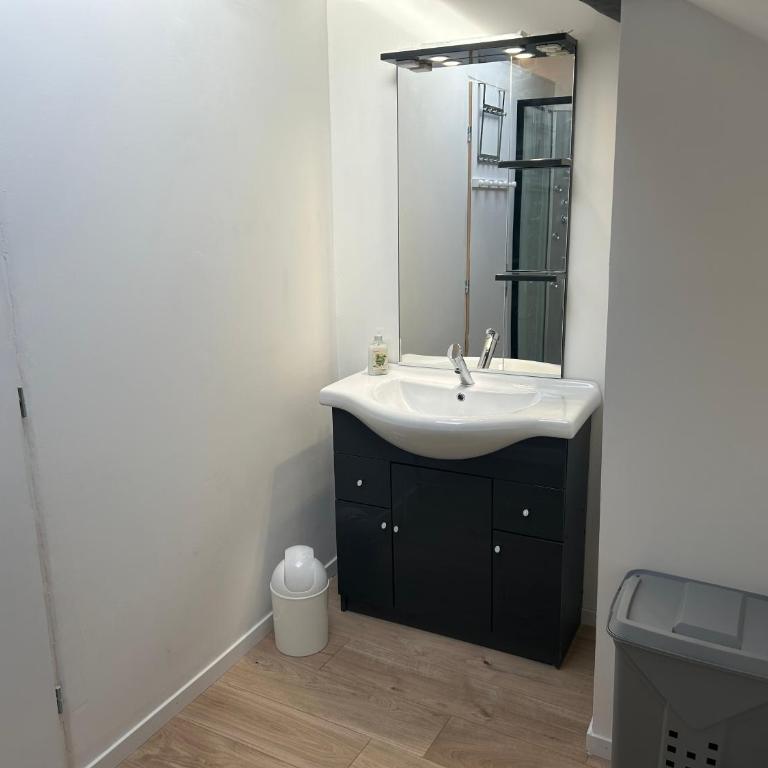 Au Bouquet Troyen - Wifi - Calme et tranquillité - Apartment - 1