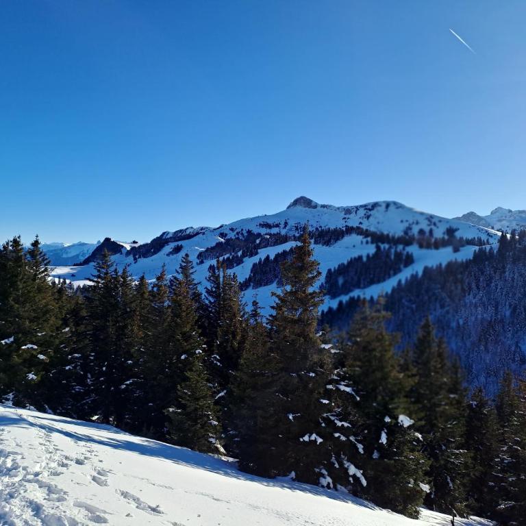 Appartement-Chalet avec Terrasse - Vue Lac - Appartement 1 Chambre - 41