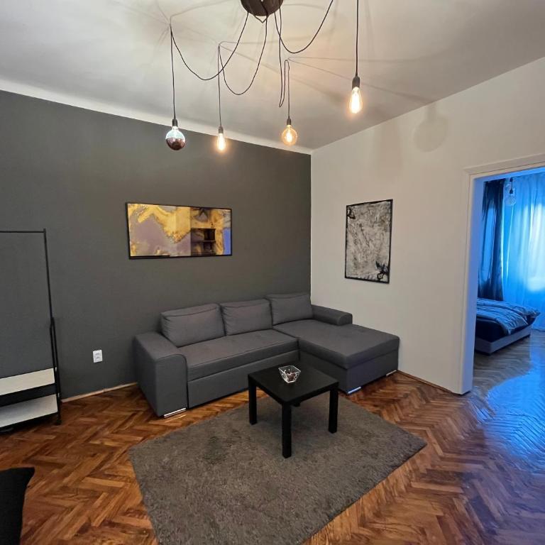 Two bedroom apartment near Slavija square - Apartman sa 1 Spavaćom Sobom - 1