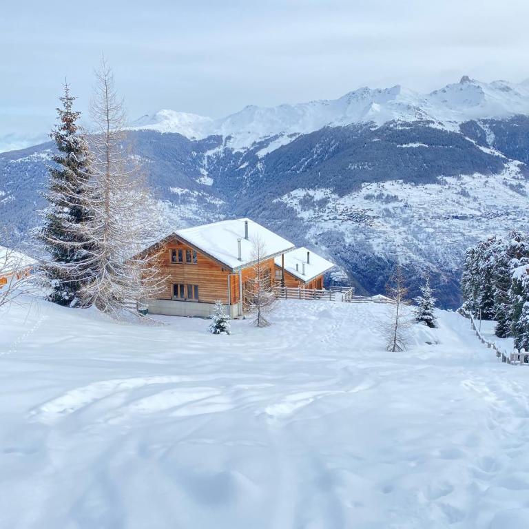 La Pourvoirie - 4 Vallées - Thyon-Les Collons, 10 pers, ski à 200 m, 4 parkings, vue fantastique ! - Superior Chalet - 28