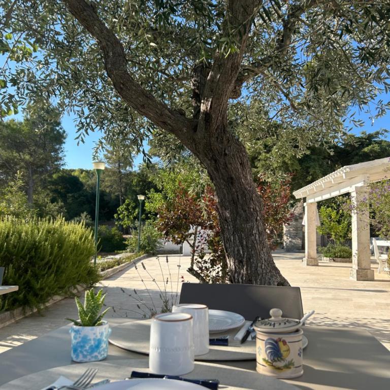 Il trullo di simona - Villa con Piscina Privata - 12