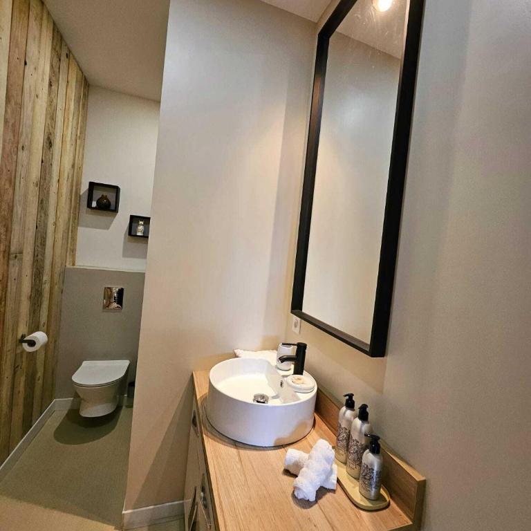 La Maison Grivolas - Appartement 1 Chambre - Vue sur Piscine - 5