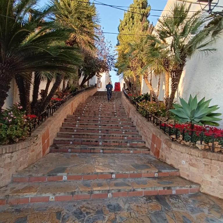 Acogedor apt en casco historico - Apartamento de 2 dormitorios - 14
