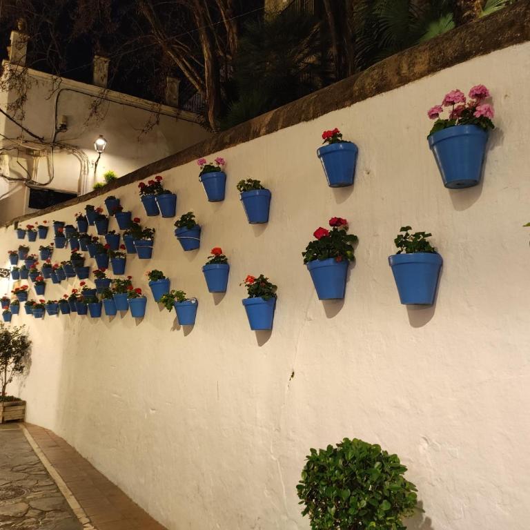 Acogedor apt en casco historico - Apartamento de 2 dormitorios - 11