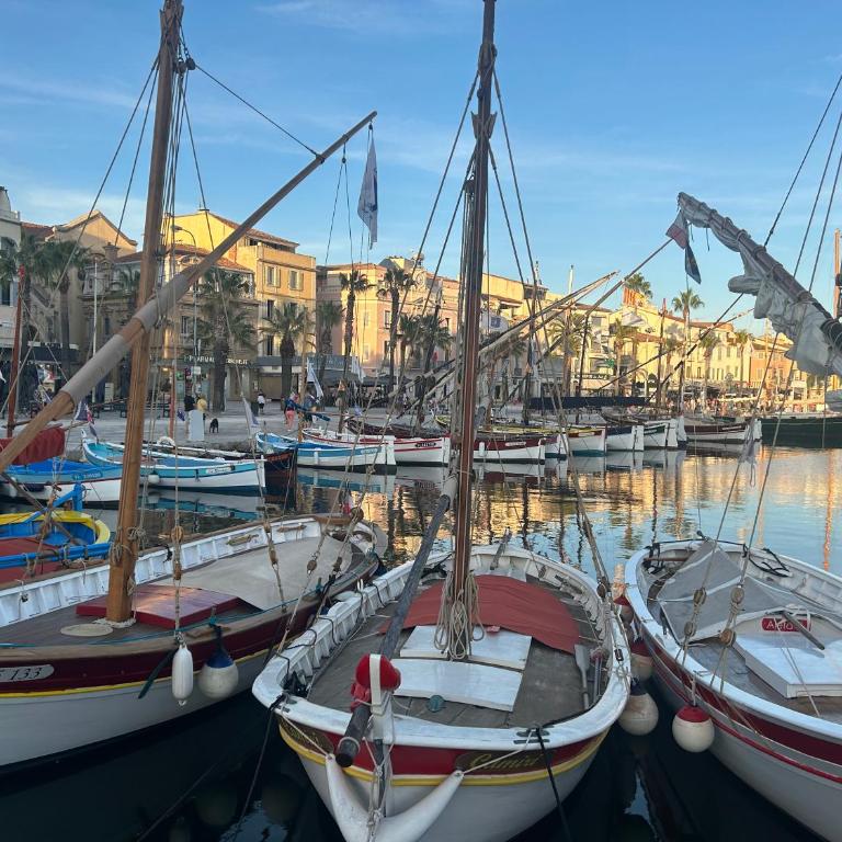 T2 tout confort et moderne, climatisé avec balcon et parking, à 10 min du port et de la plage - Appartement 1 Chambre - 7
