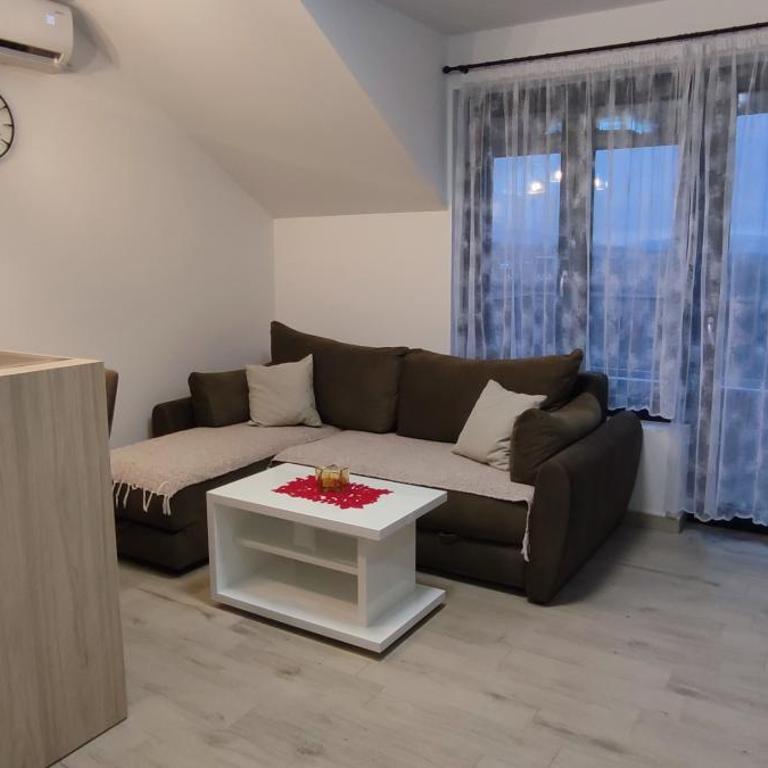Jela Apartman - Apartman sa 1 Spavaćom Sobom - 3