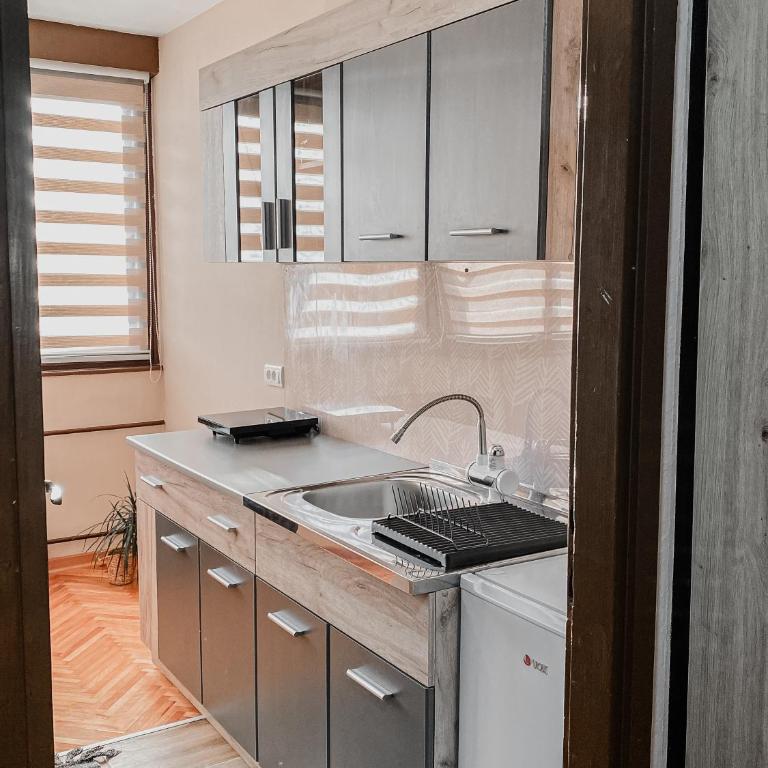 Manila Apartment Kragujevac - One-Bedroom Apartment - 7