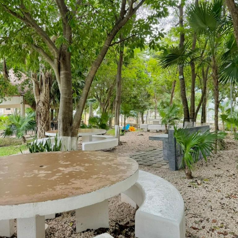 Esperanza 204 - Apartamento de 2 dormitorios - 19