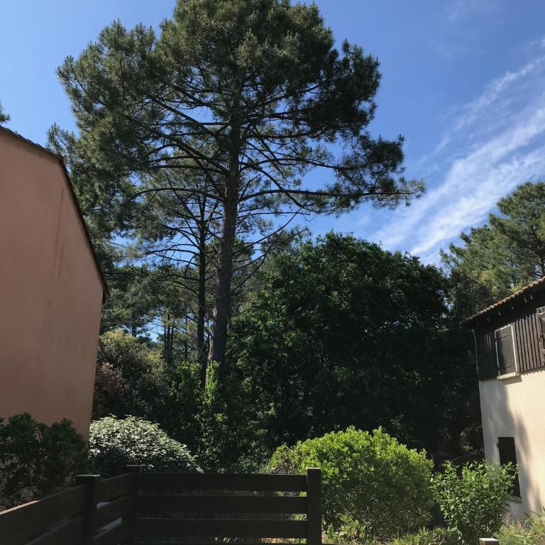 Agréable maison entre lac et océan à Lacanau - Two-Bedroom House - 26