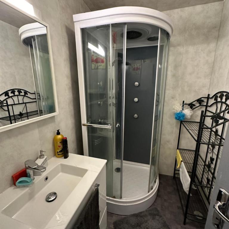 Les Meublés les Dômes du Parc - Appartement 2 Chambres - 4