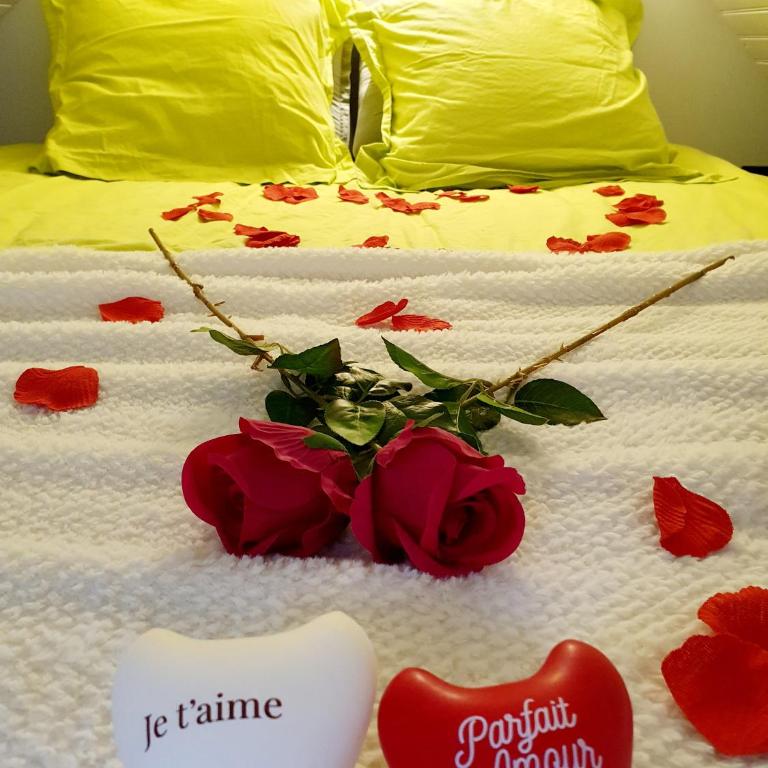 Bienvenue dans le chartreuse 2 à 6 couchages - Appartement 1 Chambre - 17