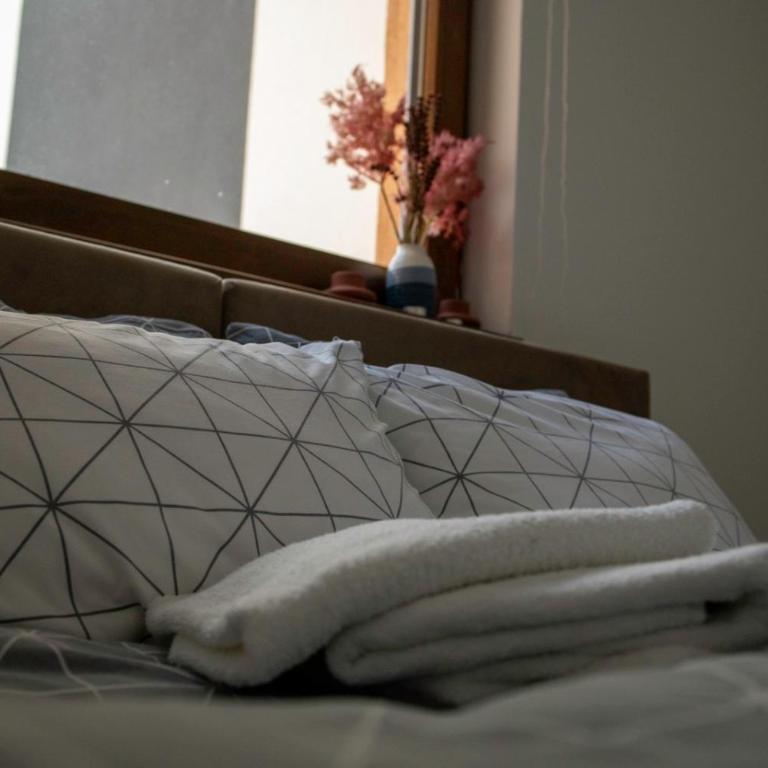 Apartmani Aspen - Apartman sa 1 Spavaćom Sobom - 6