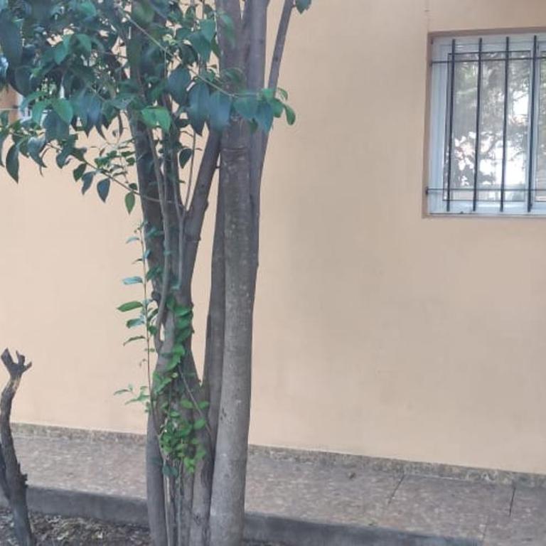 Deptos. Las Campanitas - Apartamento de 1 dormitorio - 13