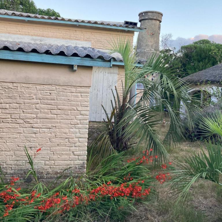 La Torre Del Coronel - Two-Bedroom House - 11