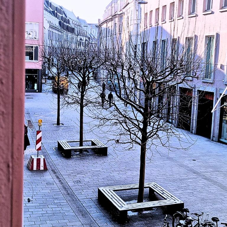 Primero City-Loftdomizil I 84qm Innenstadt Rathaus I Gemeinschaftsterrasse 6 P - Loft - 25