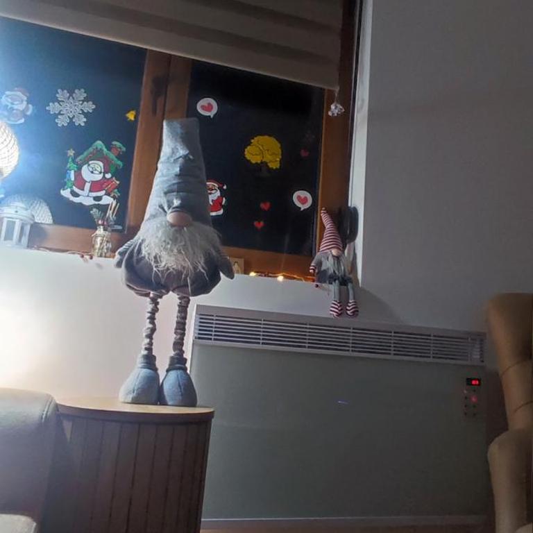 Rosa Lux - Apartman sa 1 Spavaćom Sobom - 11