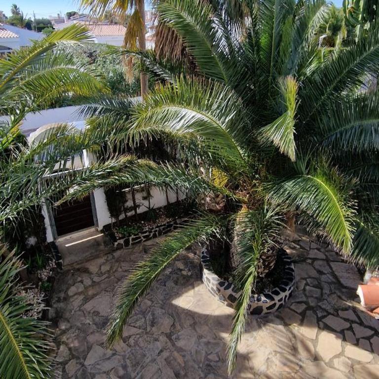 Casa Buganvilla - Villa - 24