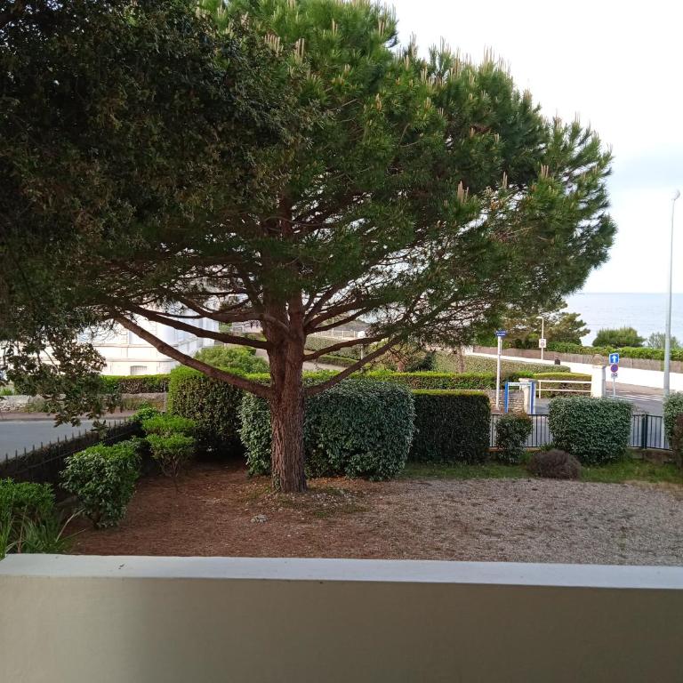 Grand appartement 3 chambres vue mer Pontaillac - Three-Bedroom Apartment - 29