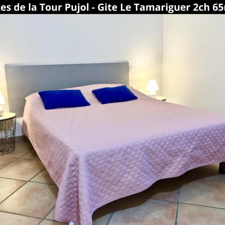 Les Gîtes de la Tour Pujol - Gite LE TAMARIGUER - 11