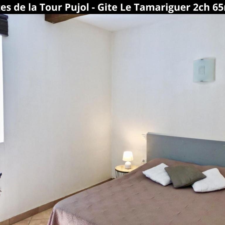 Les Gîtes de la Tour Pujol - Gite LE TAMARIGUER - 12
