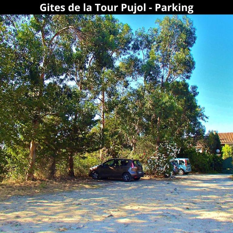 Les Gîtes de la Tour Pujol - Gite EL CANIGO - 17