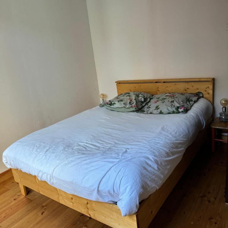 CHALET SAVINES LE LAC - Villa - 22