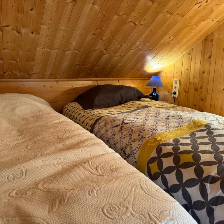 CHALET SAVINES LE LAC - Villa - 20