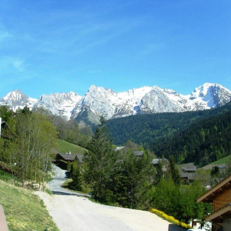 Charmant 2 pièces + coin nuit, terrasse, 4/6 pers, Le Grand-Bornand - FR-1-458-197 - Apartment - 13
