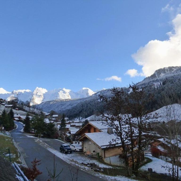 Charmant 2 pièces + coin nuit, terrasse, 4/6 pers, Le Grand-Bornand - FR-1-458-197 - Apartment - 14