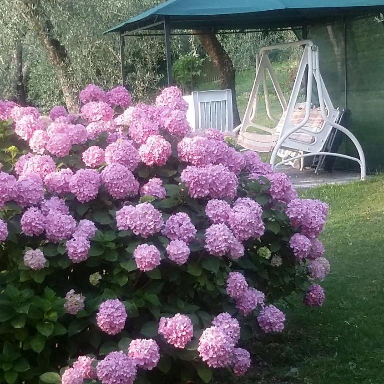 Casa Valenti - Appartamento con 1 Camera da Letto - 53